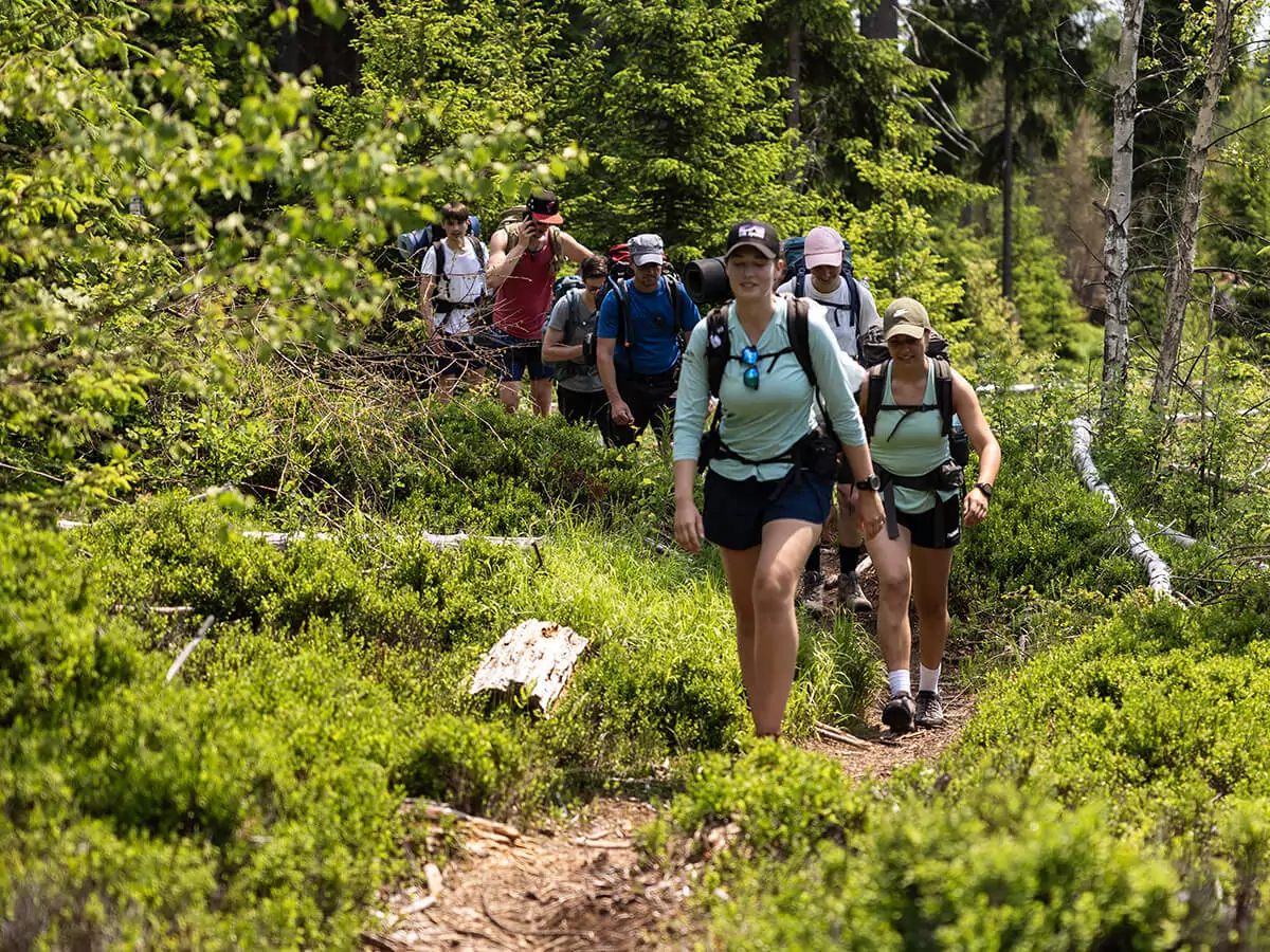 Studierende wandern durch die Wildnis.