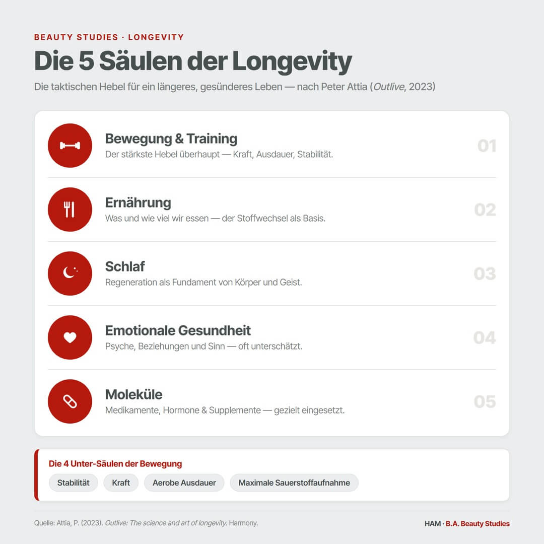 attia-5-saeulen-longevity-quadrat