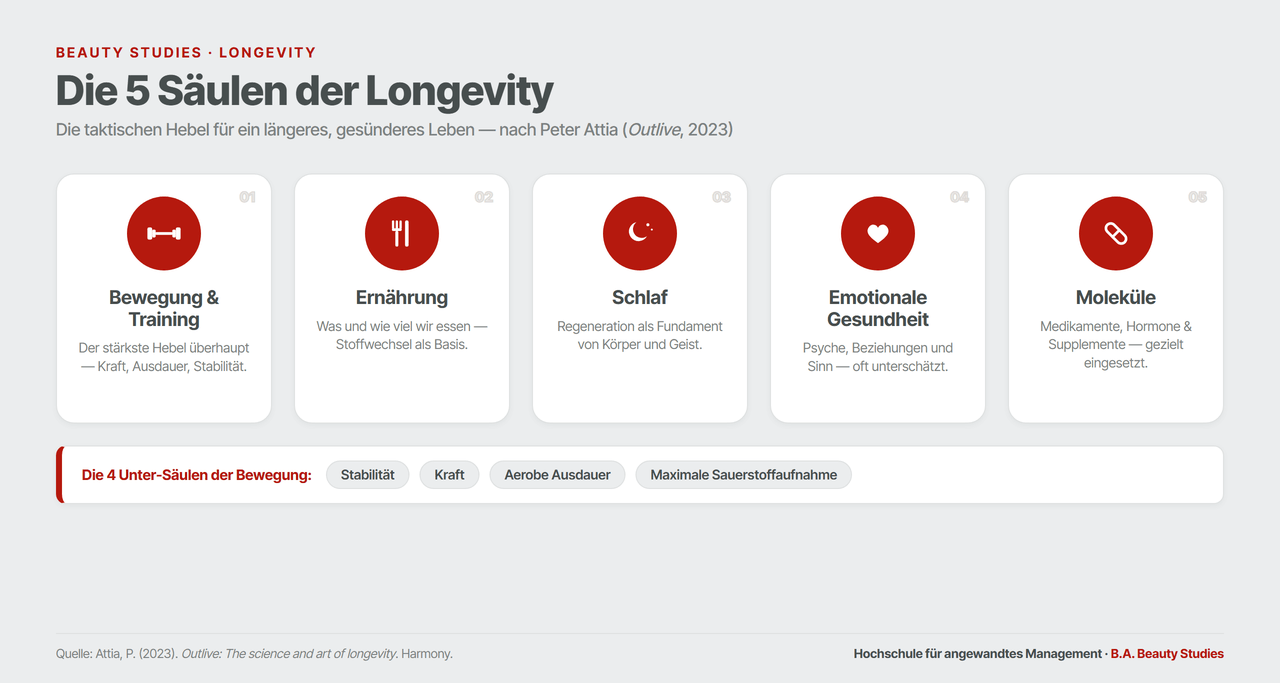 attia-5-saeulen-longevity-quer